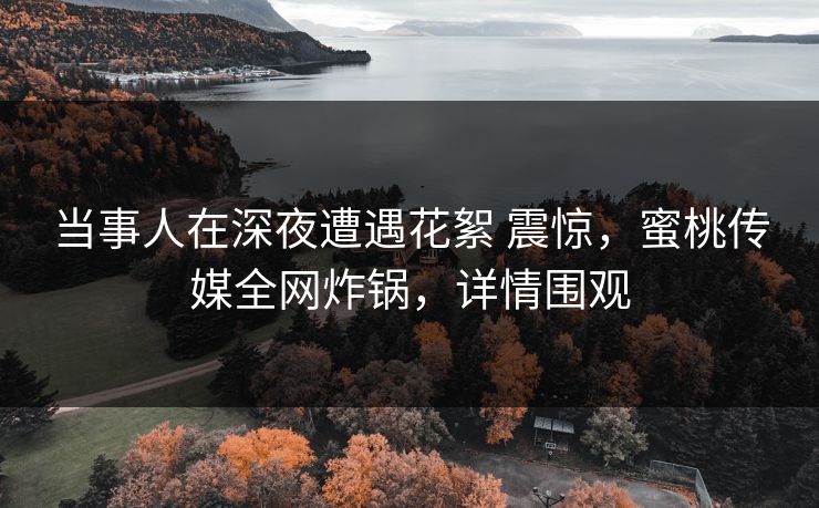 当事人在深夜遭遇花絮 震惊，蜜桃传媒全网炸锅，详情围观