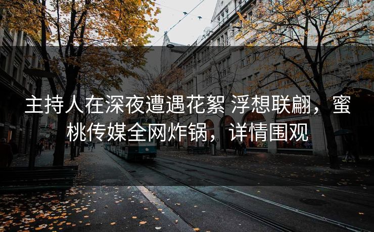 主持人在深夜遭遇花絮 浮想联翩，蜜桃传媒全网炸锅，详情围观