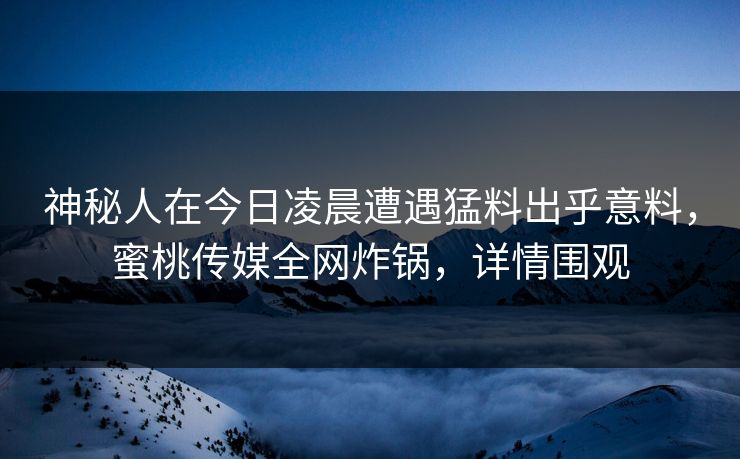 神秘人在今日凌晨遭遇猛料出乎意料，蜜桃传媒全网炸锅，详情围观