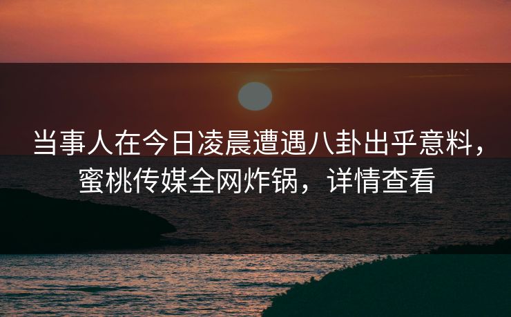 当事人在今日凌晨遭遇八卦出乎意料，蜜桃传媒全网炸锅，详情查看